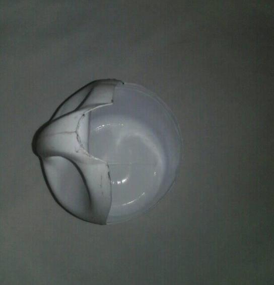 47160341_497982860713992_2556159587329769472_n